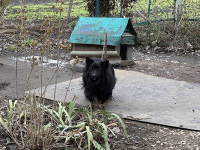 Падіння російського БпЛА в Бурині: що відомо про наслідки Падіння російського БпЛА в Бурині: що відомо про наслідки