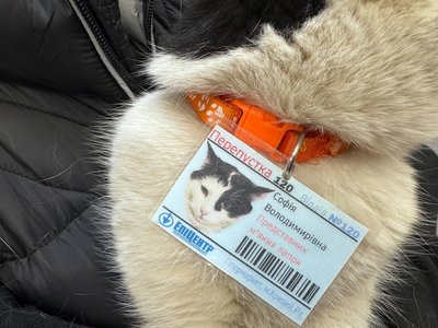 "Представниця м'яких лапок". У гіпермаркеті Кривого Рогу понад два роки "працює" кішка Соня "Представниця м'яких лапок". У гіпермаркеті Кривого Рогу понад два роки "працює" кішка Соня