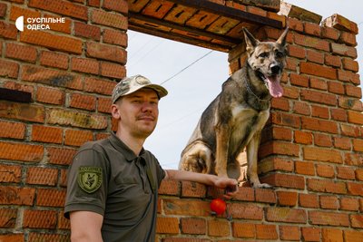 Шукають наркотики та вибухівку: як в Одесі тренують службових собак Шукають наркотики та вибухівку: як в Одесі тренують службових собак