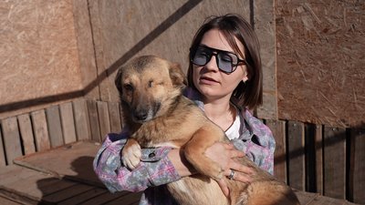 У притулку в Знам'янці на Кіровоградщині прихистили 37 собак із зони бойових дій У притулку в Знам'янці на Кіровоградщині прихистили 37 собак із зони бойових дій