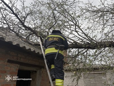 Буревій у Кропивницькому: дерева падають на дороги, тротуари та будинки Буревій у Кропивницькому: дерева падають на дороги, тротуари та будинки