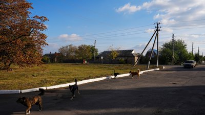 прифронтова Іллінівка життя люди ситуація Іллінівська громада Донецька область 22 жовтня 2024 рік прифронтова Іллінівка життя люди ситуація Іллінівська громада Донецька область 22 жовтня 2024 рік