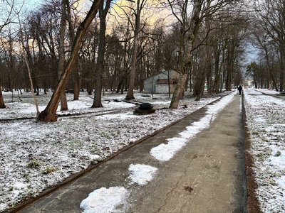 Парк ім. Тараса Шевченка у Стрию Парк ім. Тараса Шевченка у Стрию