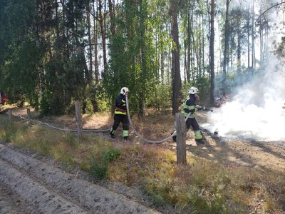 Лісова пожежа у Вараському районі Лісова пожежа у Вараському районі