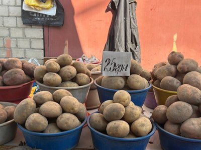 Ціни на картоплю у Житомирі: яка вартість овоча на Житньому ринку