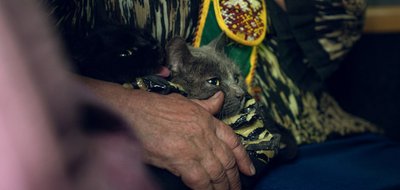 Виїжджають переважно літні люди: з Ворожбянської громади до Сум евакуювали сімох людей – поліція Виїжджають переважно літні люди: з Ворожбянської громади до Сум евакуювали сімох людей – поліція