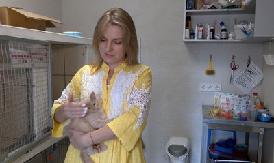 Теплові удари та зневоднення: як тварини страждають у спеку та як можна допомогти Теплові удари та зневоднення: як тварини страждають у спеку та як можна допомогти