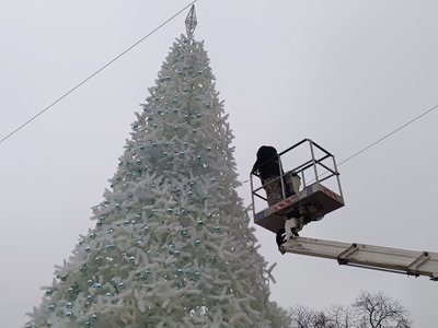 У Києві почали прикрашати головну ялинку країни У Києві почали прикрашати головну ялинку країни