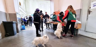 переселенці, яких евакуювали на Буковину переселенці, яких евакуювали на Буковину