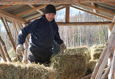 У лісах Хмельниччини облаштували "їдальні" для диких звірів У лісах Хмельниччини облаштували "їдальні" для диких звірів