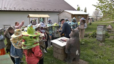 "Бортництво. Глядіння пчіл по-Баївськи": як на Волині бережуть нематеріальну культурну спадщину "Бортництво. Глядіння пчіл по-Баївськи": як на Волині бережуть нематеріальну культурну спадщину