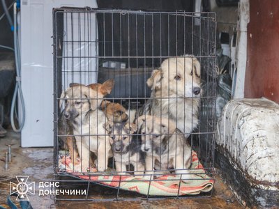 З села Новокриворіжжя на Донеччині евакуювали останню жительку