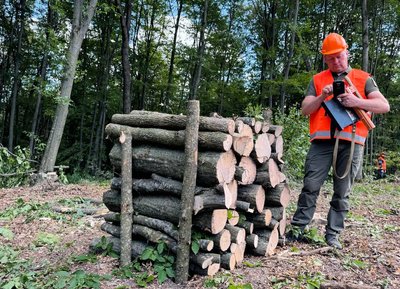 «Дешевше, ніж газом»: скільки на Черкащині коштують дрова «Дешевше, ніж газом»: скільки на Черкащині коштують дрова