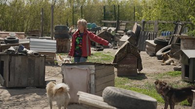 Притулок для собак Притулок для собак