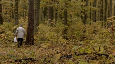 Тихе полювання: які гриби збирають вінничани наприкінці жовтня Тихе полювання: які гриби збирають вінничани наприкінці жовтня