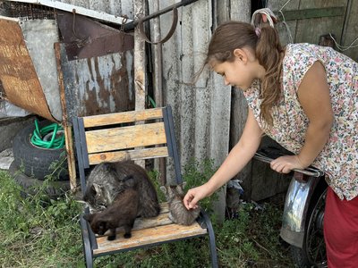 «Ми їдемо з ними»: родина з п’ятьма дітьми у прифронтовому Хрестищі шукає дім для себе і тварин «Ми їдемо з ними»: родина з п’ятьма дітьми у прифронтовому Хрестищі шукає дім для себе і тварин