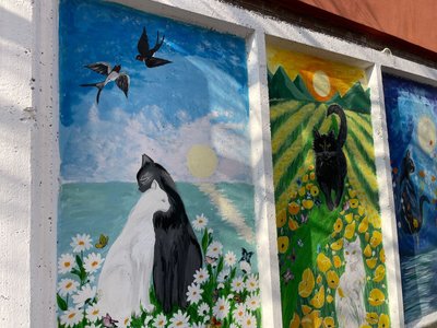 картини котиків, малюнки на паркані картини котиків, малюнки на паркані