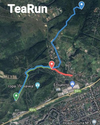 "Tea Run": на Закарпатті відбудеться забіг чайною плантацією