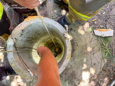 У Валках з дворового колодязя дістали 4-річного хлопчика, він живий У Валках з дворового колодязя дістали 4-річного хлопчика, він живий