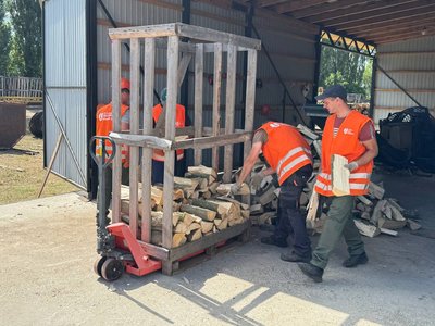 «Дешевше, ніж газом»: скільки на Черкащині коштують дрова «Дешевше, ніж газом»: скільки на Черкащині коштують дрова