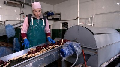 «Недостатньо сировини»: як вирощують хрін на Вінниччині та чому виробники просять фермерів збільшити площі посіву