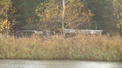 У селі не буде води — в громаді на Житомирщині люди виступають проти розробки доломітового кар'єру У селі не буде води — в громаді на Житомирщині люди виступають проти розробки доломітового кар'єру