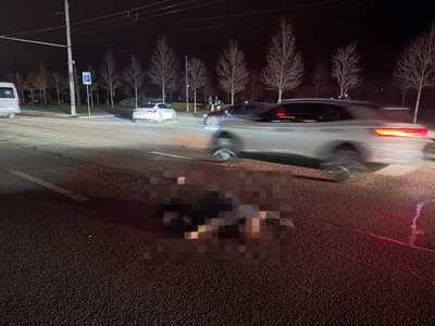 Атаки РФ, поліцейська — переможниця змагань з тхеквондо, ялинка у метро. Головні новини Дніпра та області 17 грудня Атаки РФ, поліцейська — переможниця змагань з тхеквондо, ялинка у метро. Головні новини Дніпра та області 17 грудня