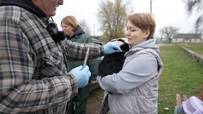 Вакцинують тварин: у громадах на Черкащині роблять безоплатні щеплення проти сказу котам та собакам Вакцинують тварин: у громадах на Черкащині роблять безоплатні щеплення проти сказу котам та собакам