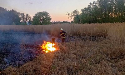 Горіла суха трава, сміття та гараж: черкаські рятувальники 27 квітня ліквідували п'ять пожеж
