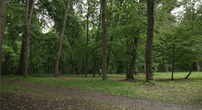 парк, вишнівець парк, вишнівець