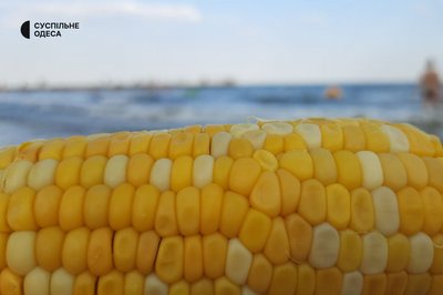 Пляжна їжа Одеси: від домашніх котлет до марикультури