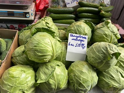 Скільки коштує капуста у квітні 2026 року в Житомирі: ціни на старий і новий урожай Скільки коштує капуста у квітні 2026 року в Житомирі: ціни на старий і новий урожай