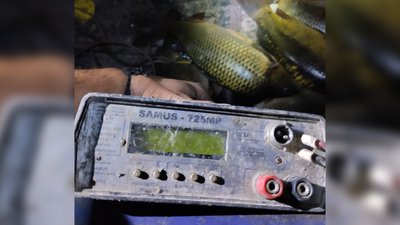 За допомогою електроструму на Чернігівщині чоловік наловив 83 кілограми риби на понад 180 тисяч гривень За допомогою електроструму на Чернігівщині чоловік наловив 83 кілограми риби на понад 180 тисяч гривень