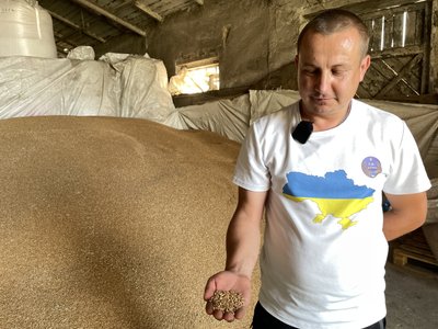 На Полтавщині фермери не продають пшеницю та ячмінь нового врожаю, бо задешево: які шляхи вирішення На Полтавщині фермери не продають пшеницю та ячмінь нового врожаю, бо задешево: які шляхи вирішення