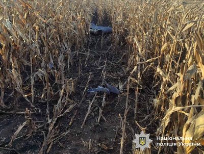 На Вінниччині знайшли в полях уламки російської ракети та дронів: їх знешкодили На Вінниччині знайшли в полях уламки російської ракети та дронів: їх знешкодили