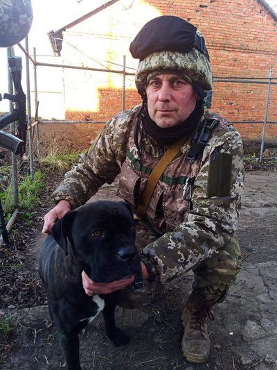 Сім'я загиблого військового з Буковини прихистила собаку, яку він знайшов на фронті Сім'я загиблого військового з Буковини прихистила собаку, яку він знайшов на фронті
