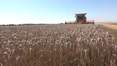 Збір врожаю на Львівщині Збір врожаю на Львівщині