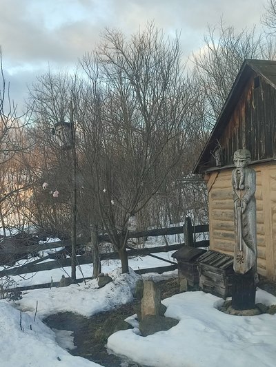 У Житомирі цієї зими зимували шпаки, а весну вже "відчули" дятли: які перелітні птахи повертаються на Полісся У Житомирі цієї зими зимували шпаки, а весну вже "відчули" дятли: які перелітні птахи повертаються на Полісся