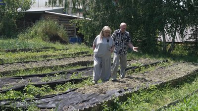 парник, городина, розсада парник, городина, розсада