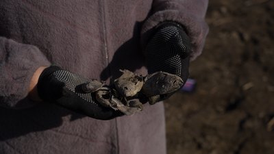 "Тут сотні кілограмів мертвої риби": у селі на Дніпропетровщині місцеві виявили масову загибель карасів "Тут сотні кілограмів мертвої риби": у селі на Дніпропетровщині місцеві виявили масову загибель карасів