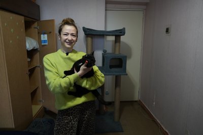 "Були брудні та знесилені". Волонтери евакуювали двох кішок з покинутої шахти Родинського до Дніпра "Були брудні та знесилені". Волонтери евакуювали двох кішок з покинутої шахти Родинського до Дніпра