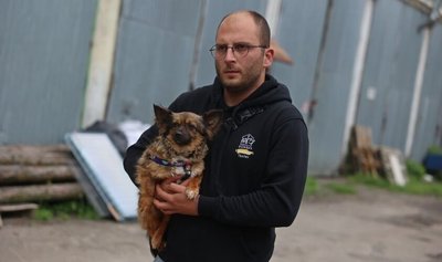 Львівські волонтери евакуювали 72 собаки та 96 котів з Херсона Львівські волонтери евакуювали 72 собаки та 96 котів з Херсона