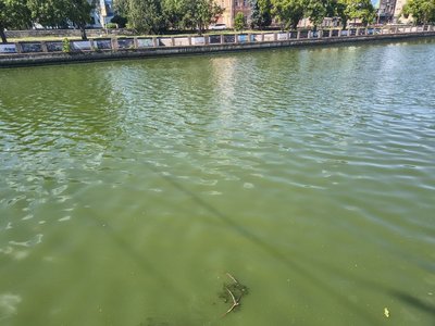 У Кропивницькому на кілька тижнів понизять рівень води в Інгулі для проведення робіт У Кропивницькому на кілька тижнів понизять рівень води в Інгулі для проведення робіт