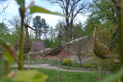 Кременецький ботанічний сад, вироби з лози, Василь Петровський, Тернопільщина, квітень 2025