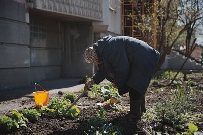 робота на грядках робота на грядках