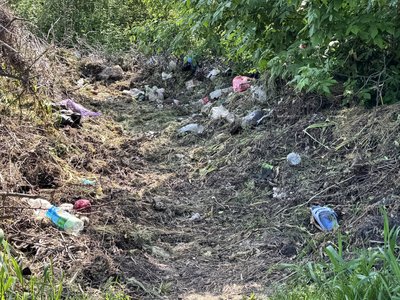 "Може статися екологічна катастрофа". В одному з мікрорайонів Сум скаржаться на стихійне сміттєзвалище