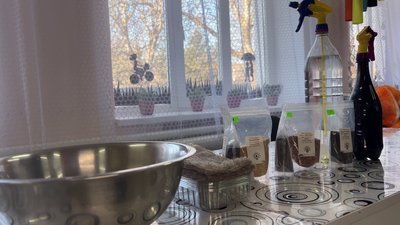 На Хмельниччині люди з інвалідністю вирощують дев’ять видів мікрозелені: як працює проєкт На Хмельниччині люди з інвалідністю вирощують дев’ять видів мікрозелені: як працює проєкт