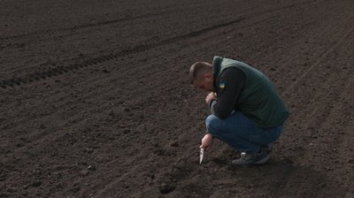Роман Віннічук, аграрії, поле, посівна, Тернопільщина Роман Віннічук, аграрії, поле, посівна, Тернопільщина