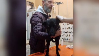 Евакуйовані тварини з Херсонщині на Рівненщину Евакуйовані тварини з Херсонщині на Рівненщину