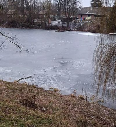 Провалилася під лід: на Житомирщині на водоймі врятували жінку Провалилася під лід: на Житомирщині на водоймі врятували жінку